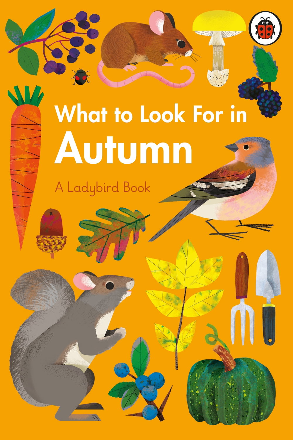 What to look for in Autumn_natasha durley_ladybird books_illustration_itsnicethat.jpg