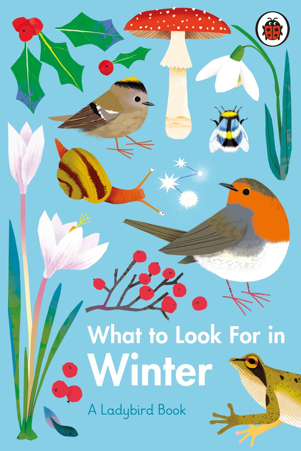 What to look for in Winter_natasha durley_ladybird books_illustration_itsnicethat.jpg