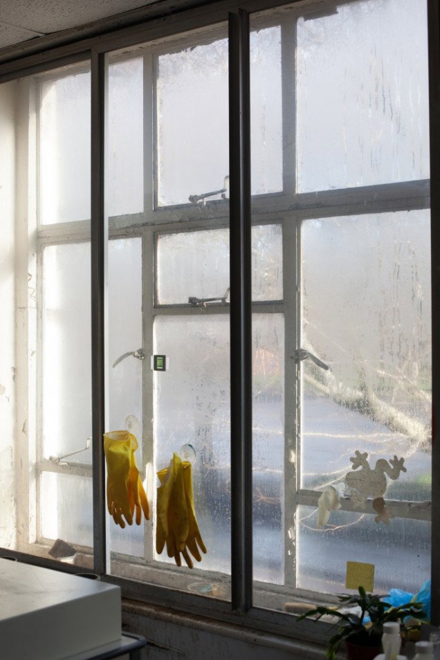 Wolfgang-tillmans-diary-february-2020-art-itsnicethat.jpg