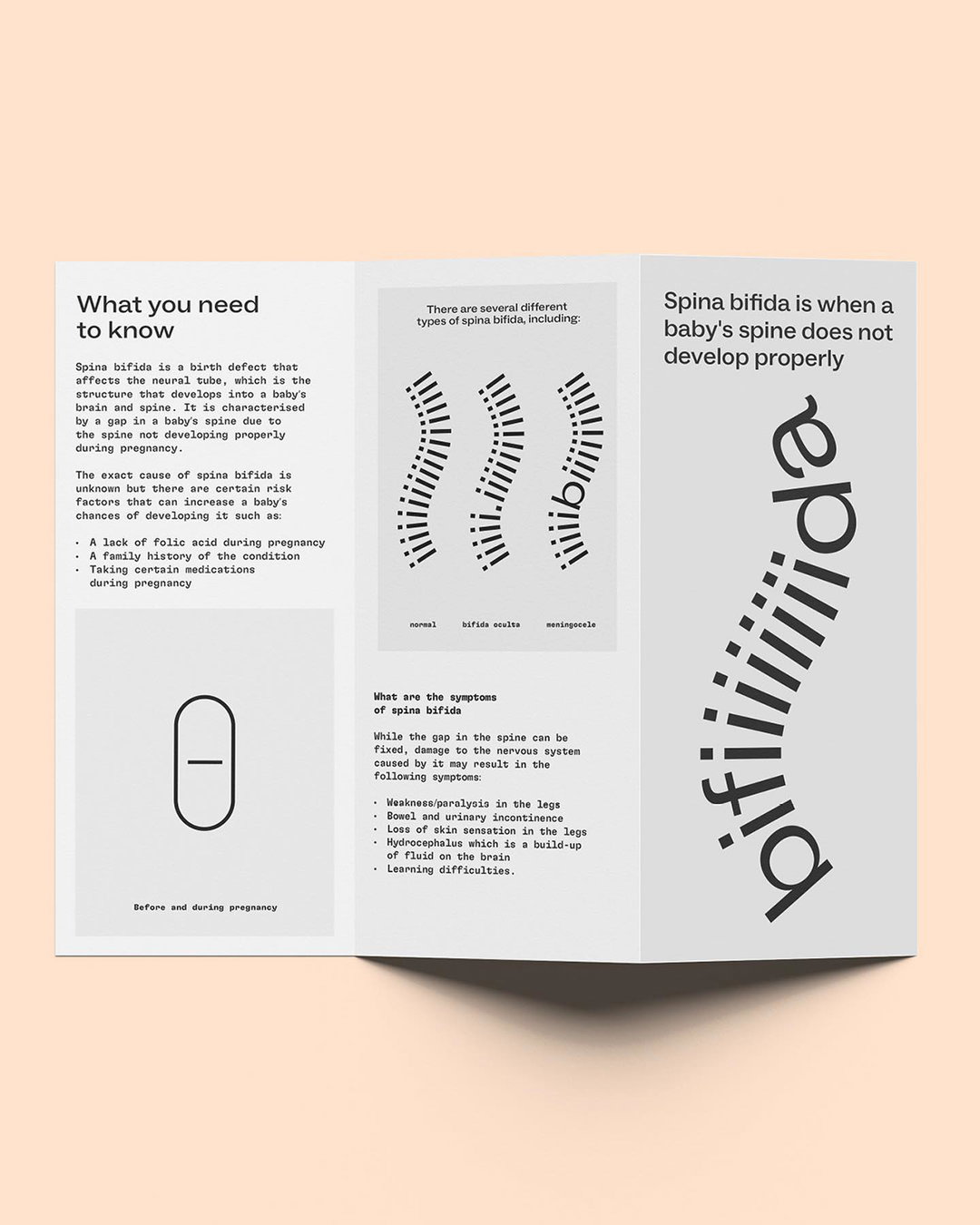 studio-rejane-dal-bello-paz-holandesa-hospital-graphic-design-