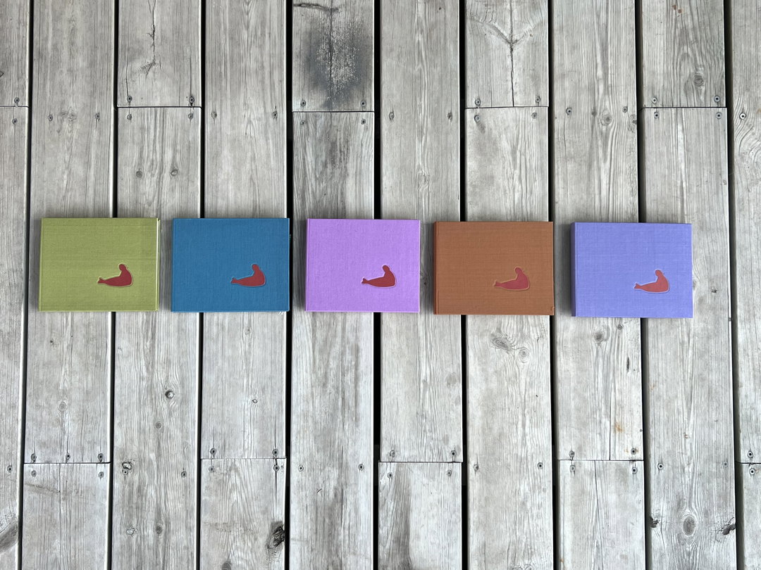 _Braided_ photobook by Sheetal Mallar_the view from mumbai itsnicethat.jpeg