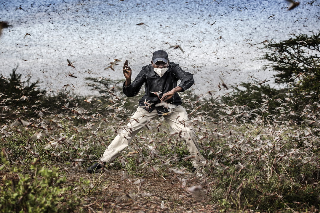 © Luis Tato, Spain, Winner, Professional competition, Wildlife _ Nature, Sony World Photography Awards 2021_4 sony world photography awards 2021 itsnicethat.jpg