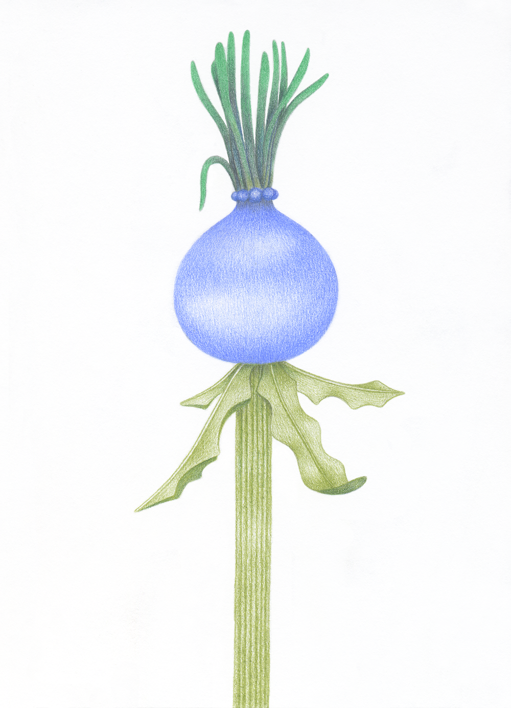 © Ophélie Paris - Drawing for %22Le cœur cahin-caha%222023 (1).png