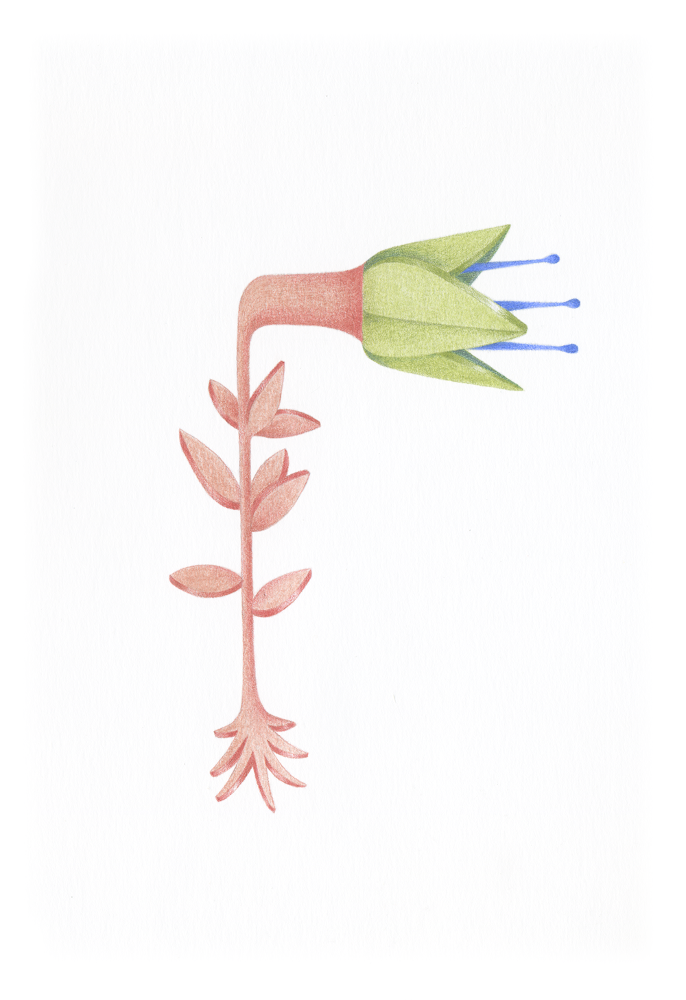© Ophélie Paris - Drawing for %22Le cœur cahin-caha%22 2023 (2).png