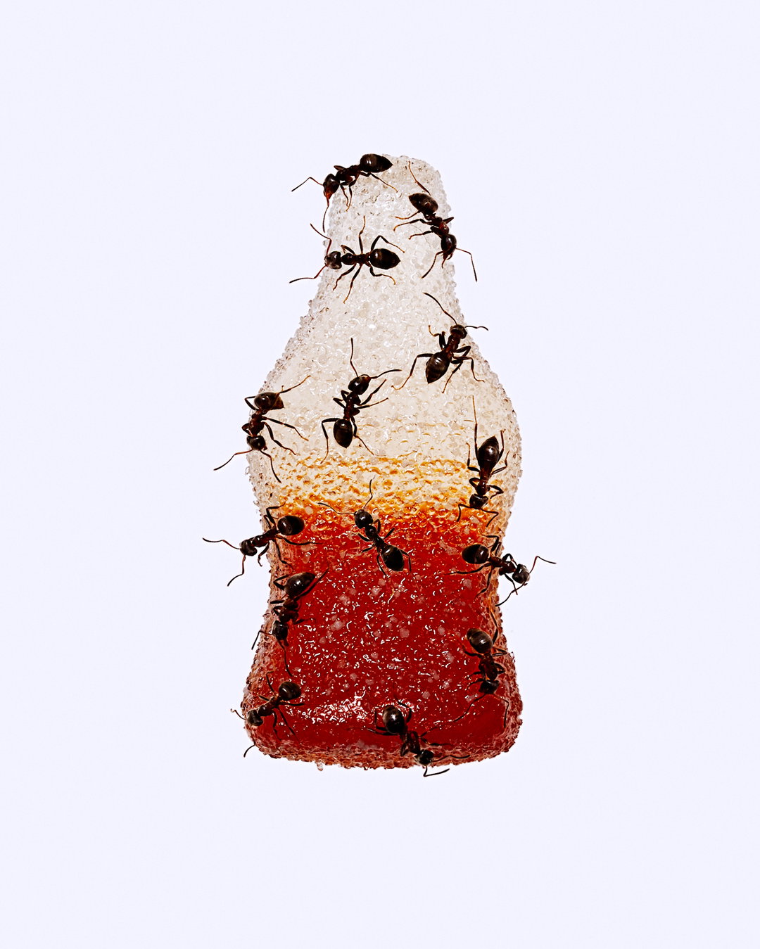 academy-photo-remote-brief-photography-work-itsnicethat-02.jpg