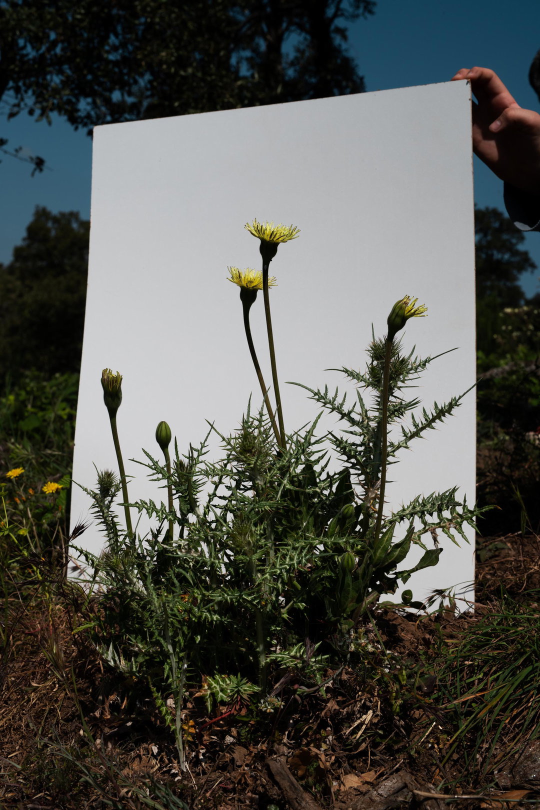 academy-photo-remote-brief-photography-work-itsnicethat-05.jpg