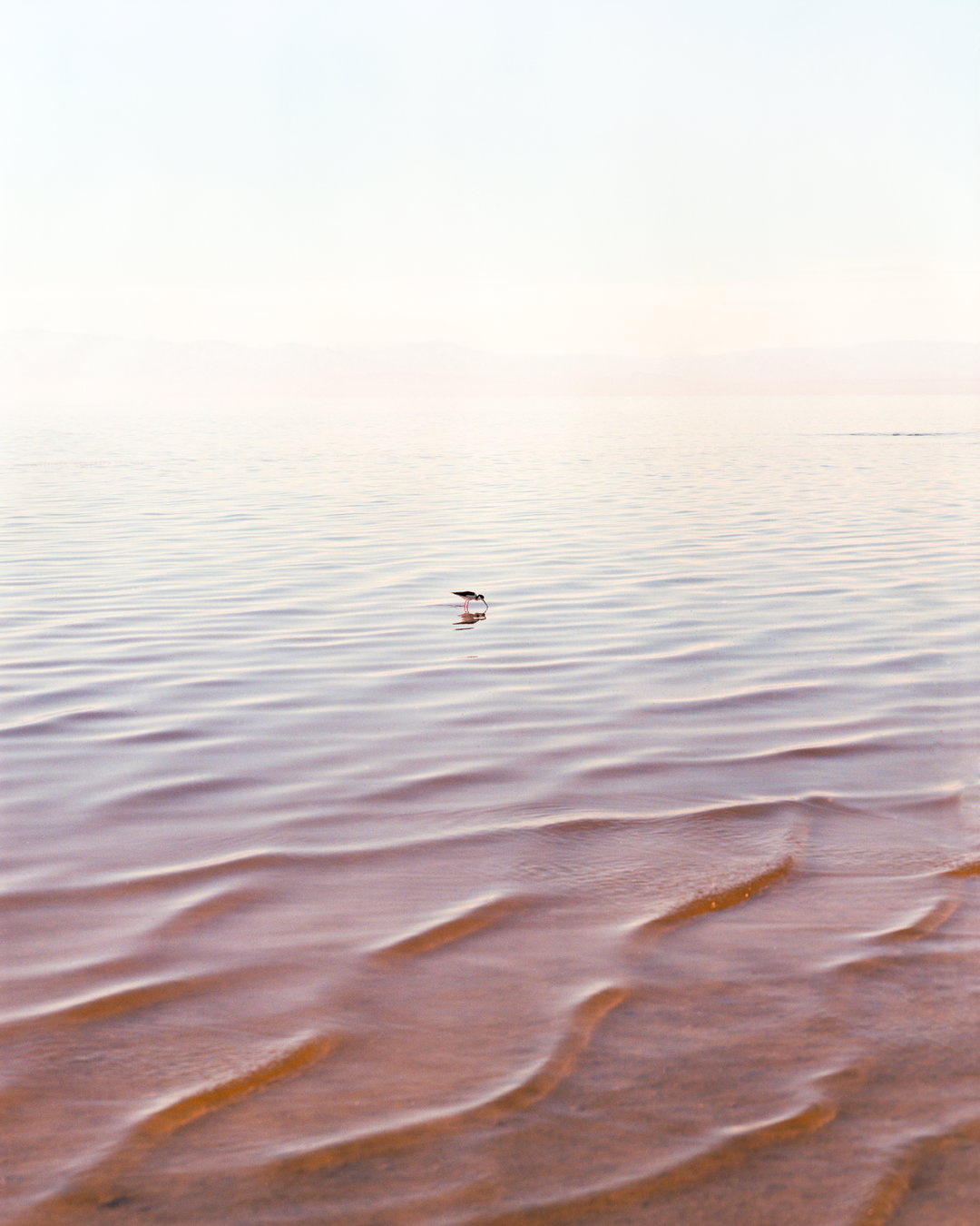 adam-ianniello-bombay-beach-photography-itsnicethat-10.jpg