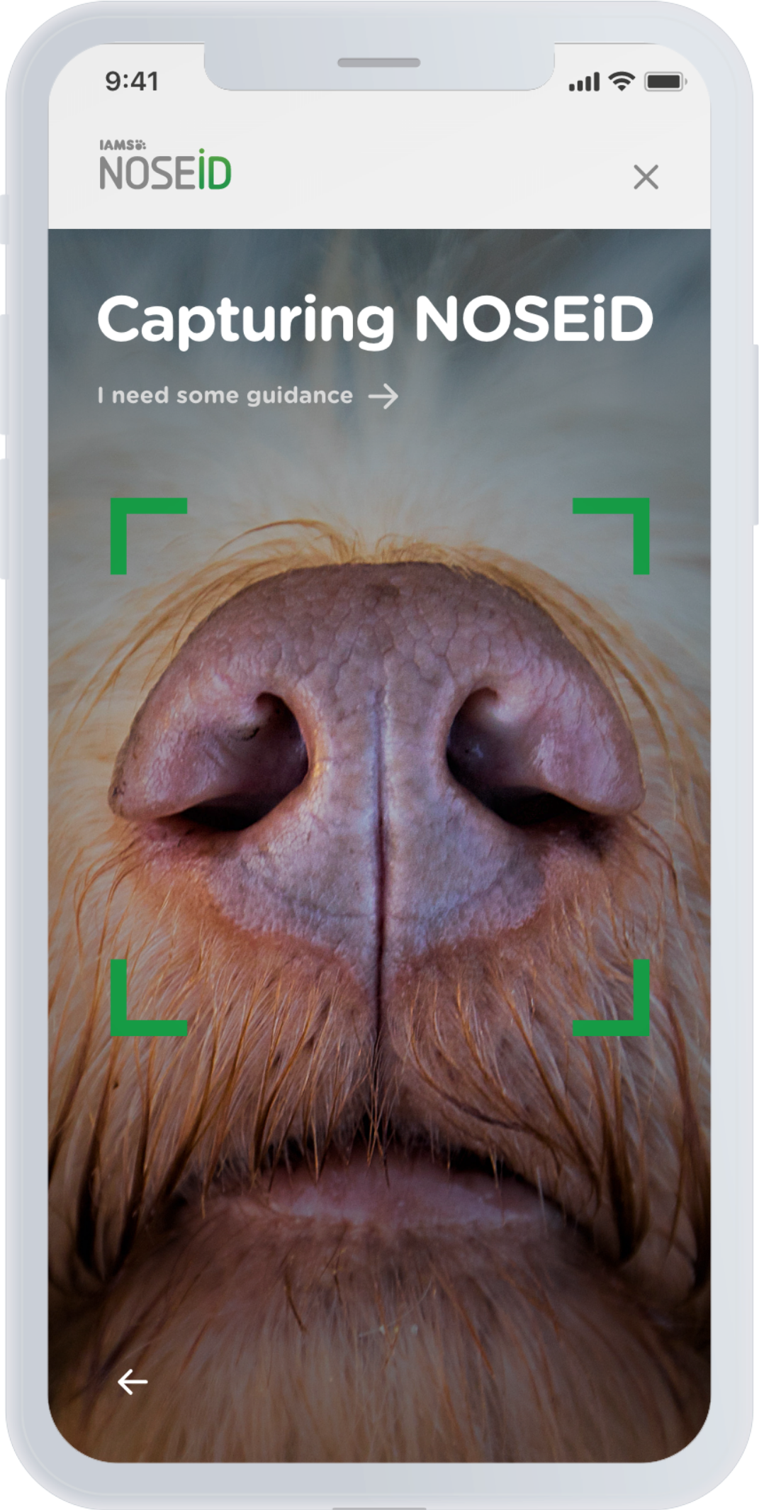 adam&eveDDB IAMS NOSEiD app digital itsnicethat_ 3.png