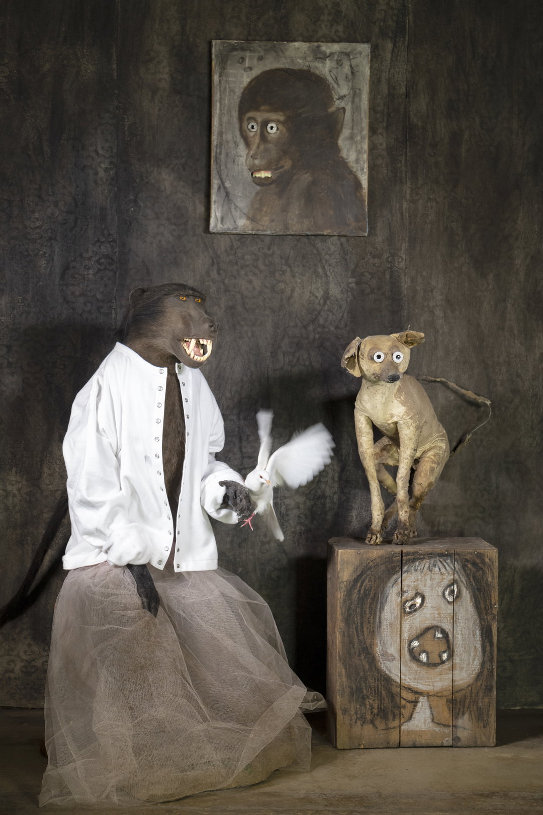 agnes b_Dressed up, 2019 © Roger Ballen 2019 Courtesy galerie Karsten Greve_art_itsnicethat.jpg