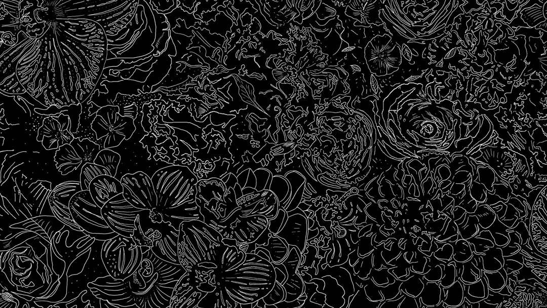 akqa-bloom-background-neutro-graphic-design-itsnicethat.jpg