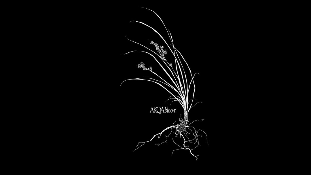 akqa-bloom-lockup-lily-graphic-design-itsnicethat.jpg