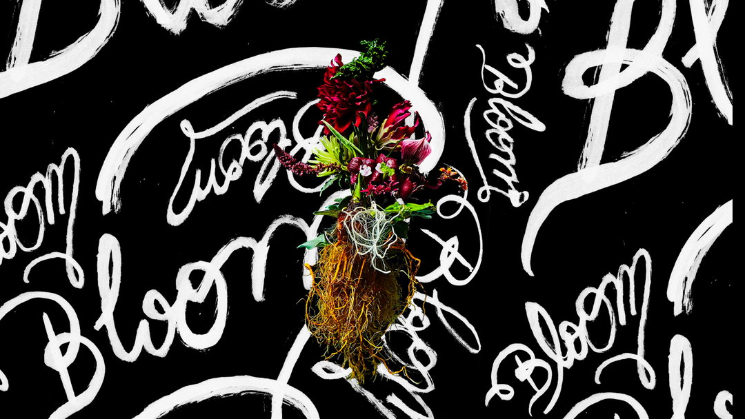 akqa-bloom-logo-and-flowers-graphic-design-itsnicethat.jpg