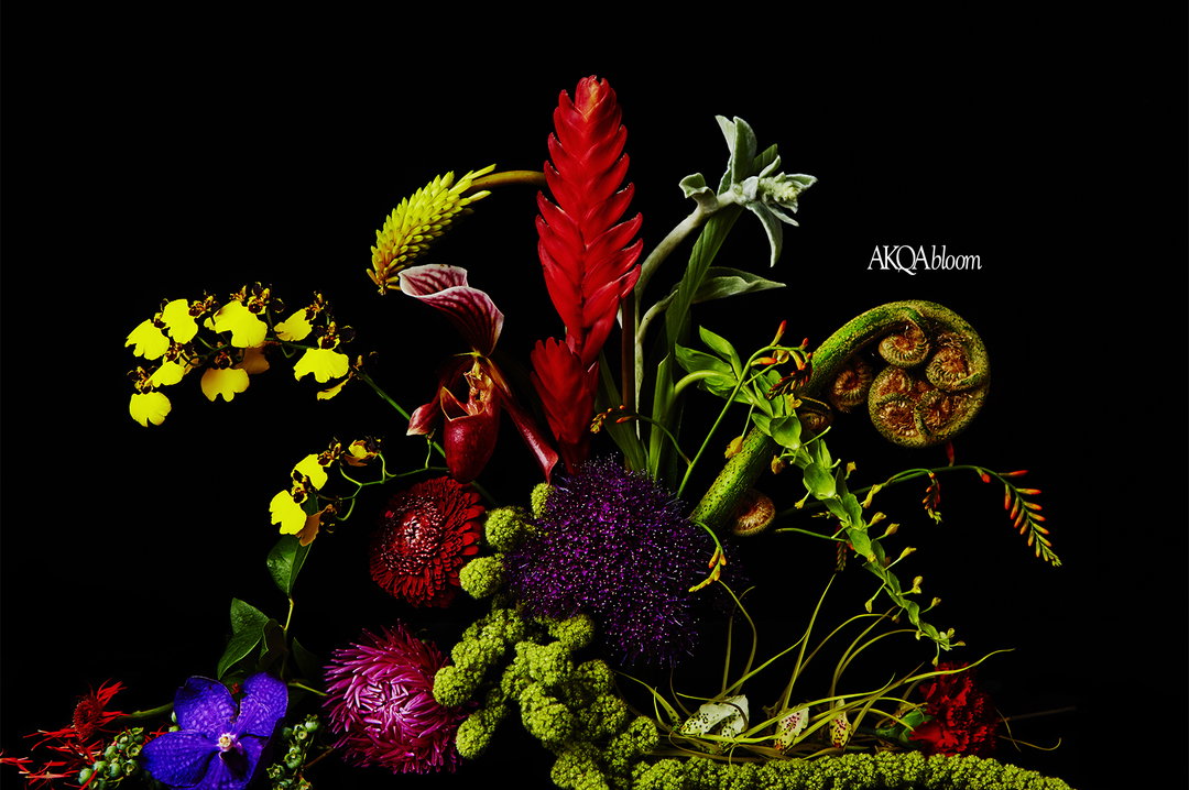 akqa-bloom-with-logo-graphic-design-itsnicethat.jpg