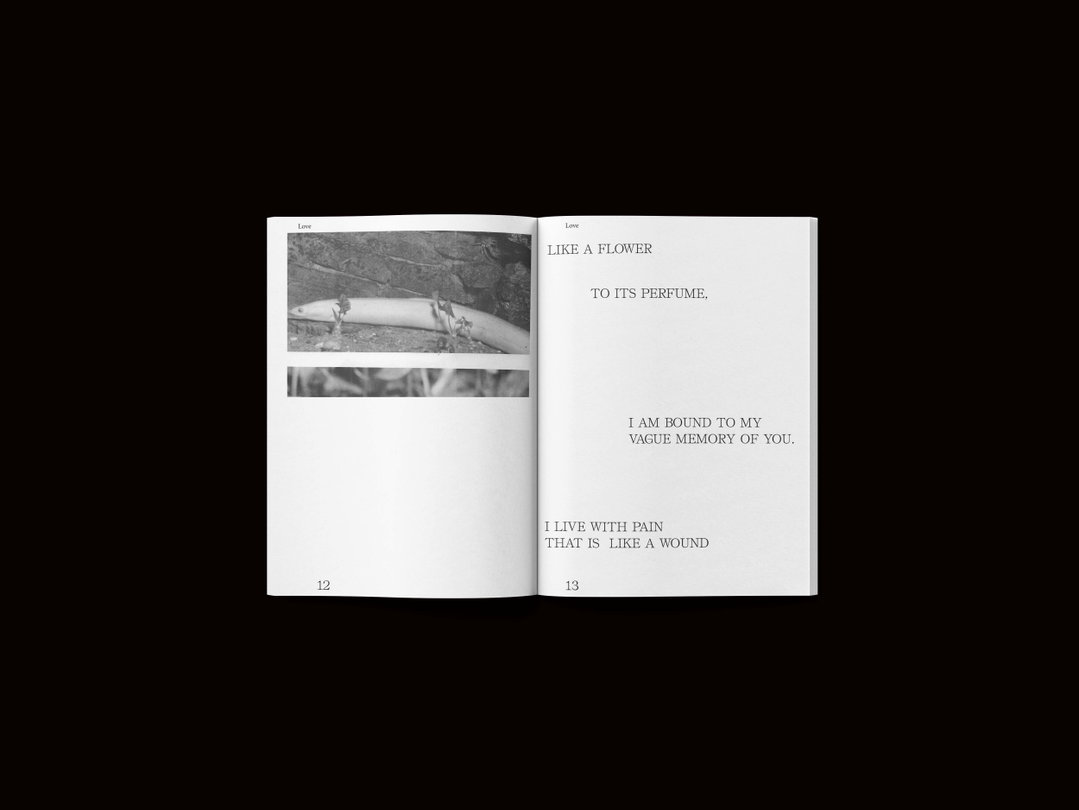 alina-derya-work-graphic-design-itsnicethat-8.jpg