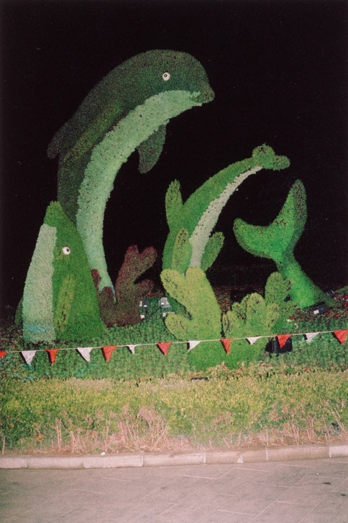Albert Elm captures our world at its most absurd through a photographic autobiography
