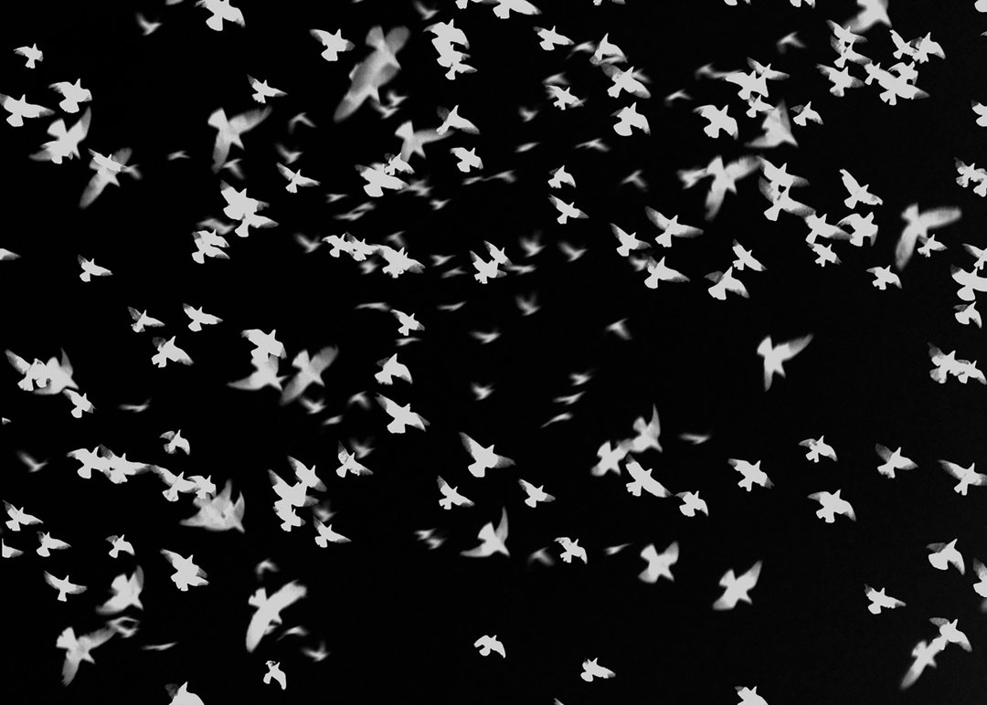 amani-willett-photography-itsnicethatFrom Invisible Sun by Amani Willet_1.jpg