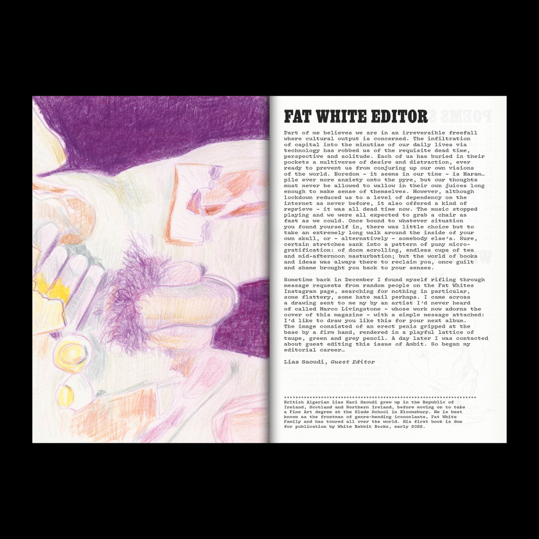 ambit-pop-publication-itsnicethat-02.jpg