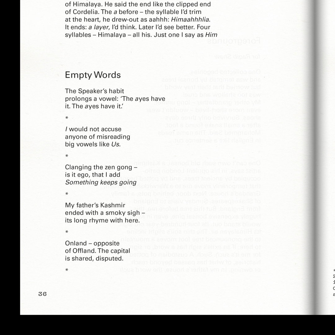 ambit-pop-publication-itsnicethat-08.jpg