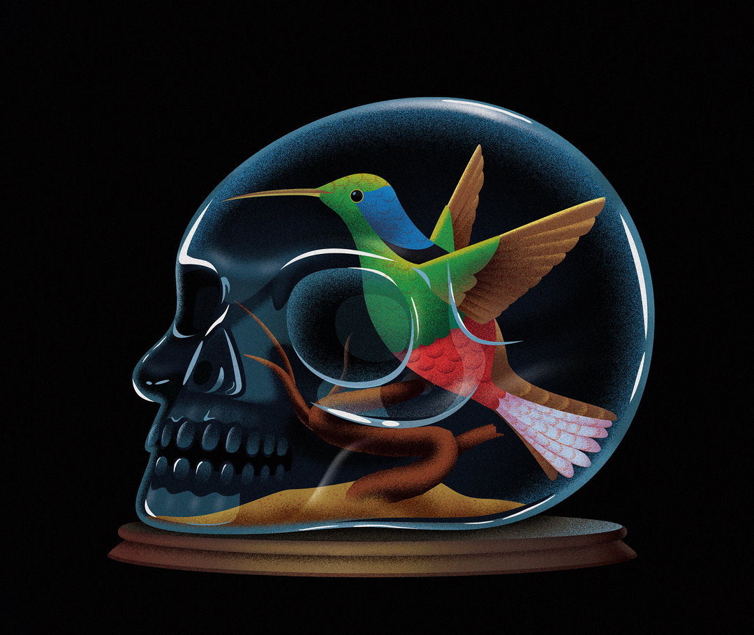 ana-miminoshvili-illustration-itsnicethatAna Miminoshvili-The-New-York-Times--Hummigbird-Salamander.jpg