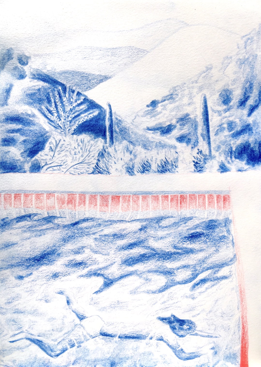 anais-michel-illustration-itsnicethat-02.jpeg