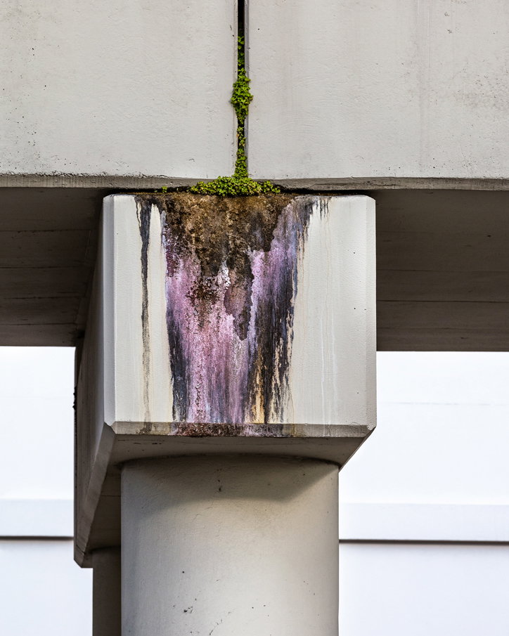 anastasia-samoylova-floodzone-photography-itsnicethat-4.jpg