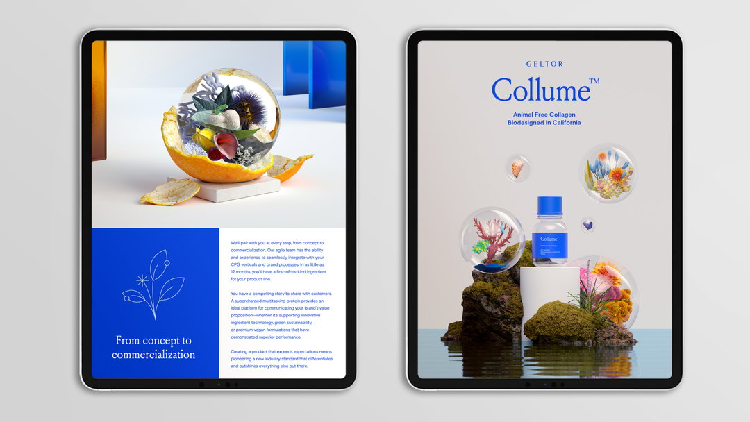 andwalsh-gelton-graphic-design-itsnicethat-13.jpg