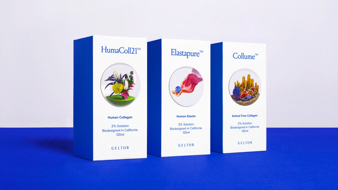 andwalsh-gelton-graphic-design-itsnicethat-8.jpg