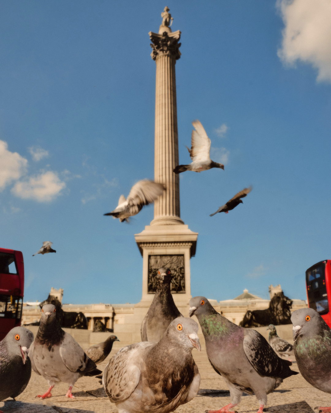 joe-hart-animals-pho-itsnicethat02
