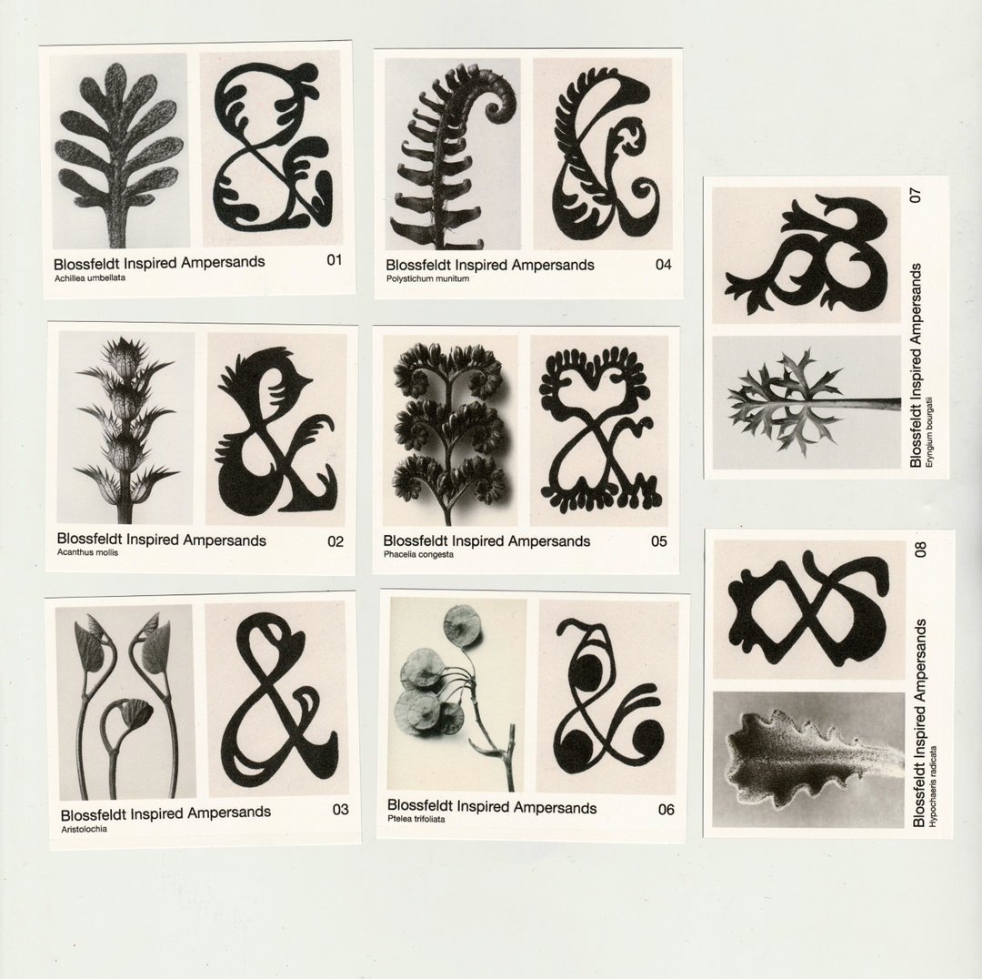 anna-mills-graphic-design-itsnicethat-7.jpg