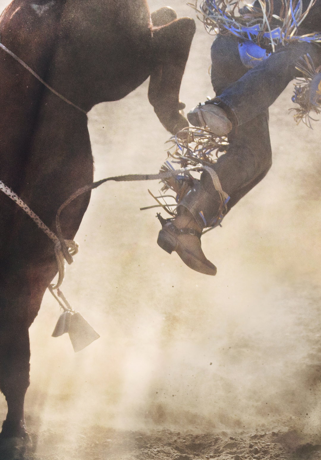anna-ottum-rodeo-photography-itsnicethat-021.jpg