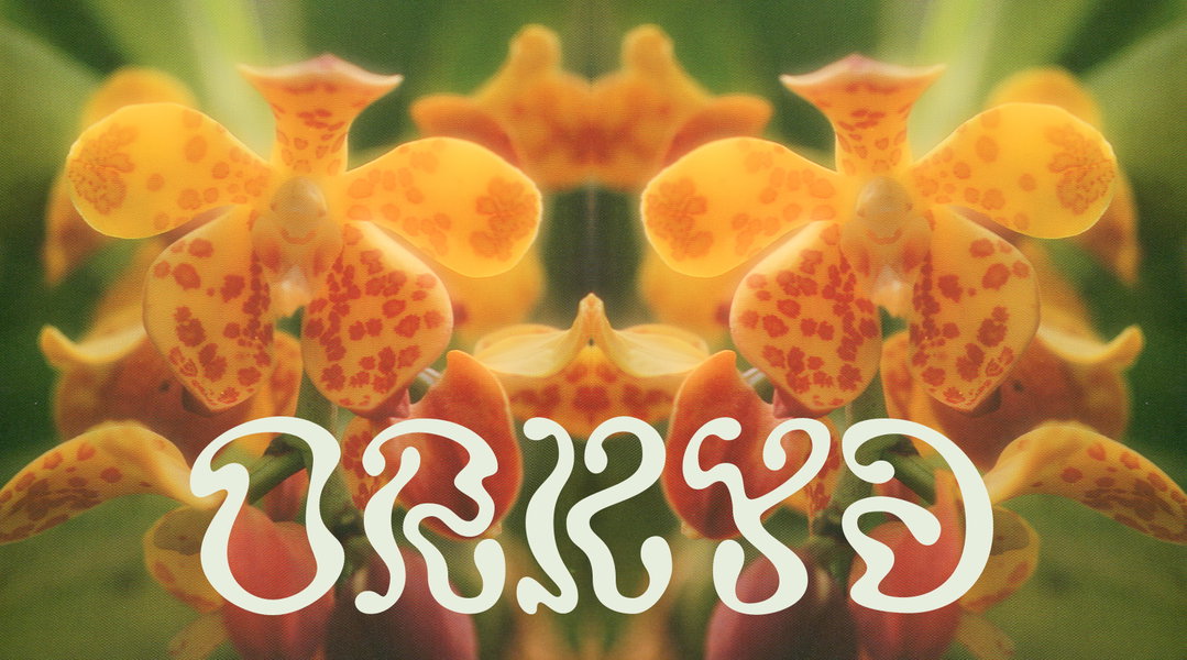 anna-sing-greenhouse-type-graphic-design-itsnicethat1.jpg