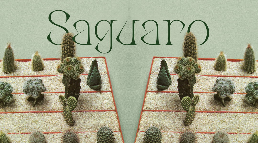 anna-sing-greenhouse-type-graphic-design-itsnicethat11.jpg