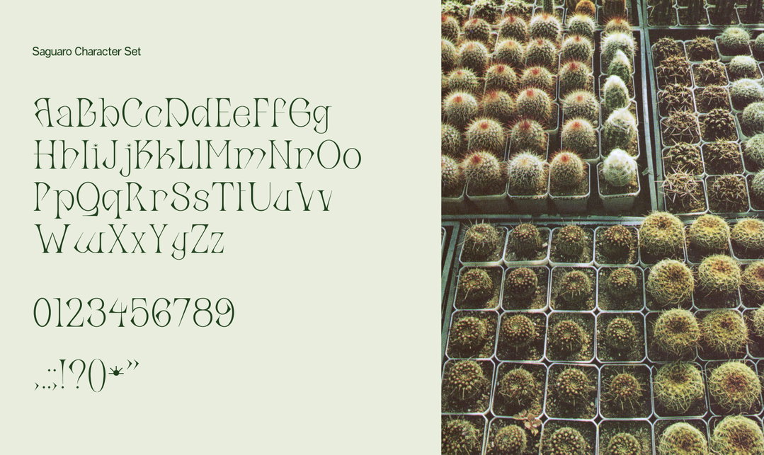 anna-sing-greenhouse-type-graphic-design-itsnicethat5.jpg