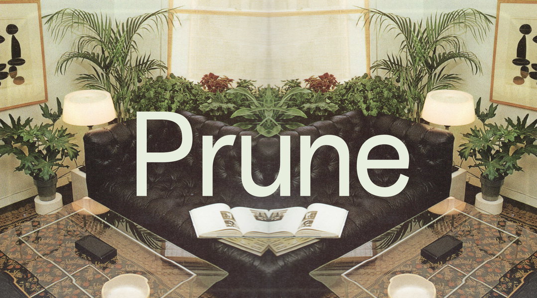 anna-sing-greenhouse-type-graphic-design-itsnicethat9.jpg