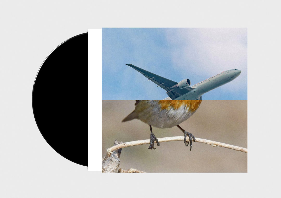 anthony-burrill-erik-kessels-malcolm-goldie-birds-miscellaneous-itsnicethat-2.jpg