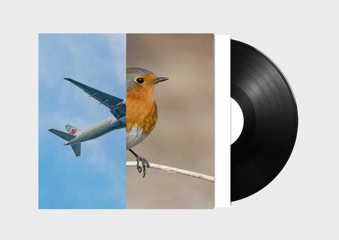 anthony-burrill-erik-kessels-malcolm-goldie-birds-miscellaneous-itsnicethat-4.jpg