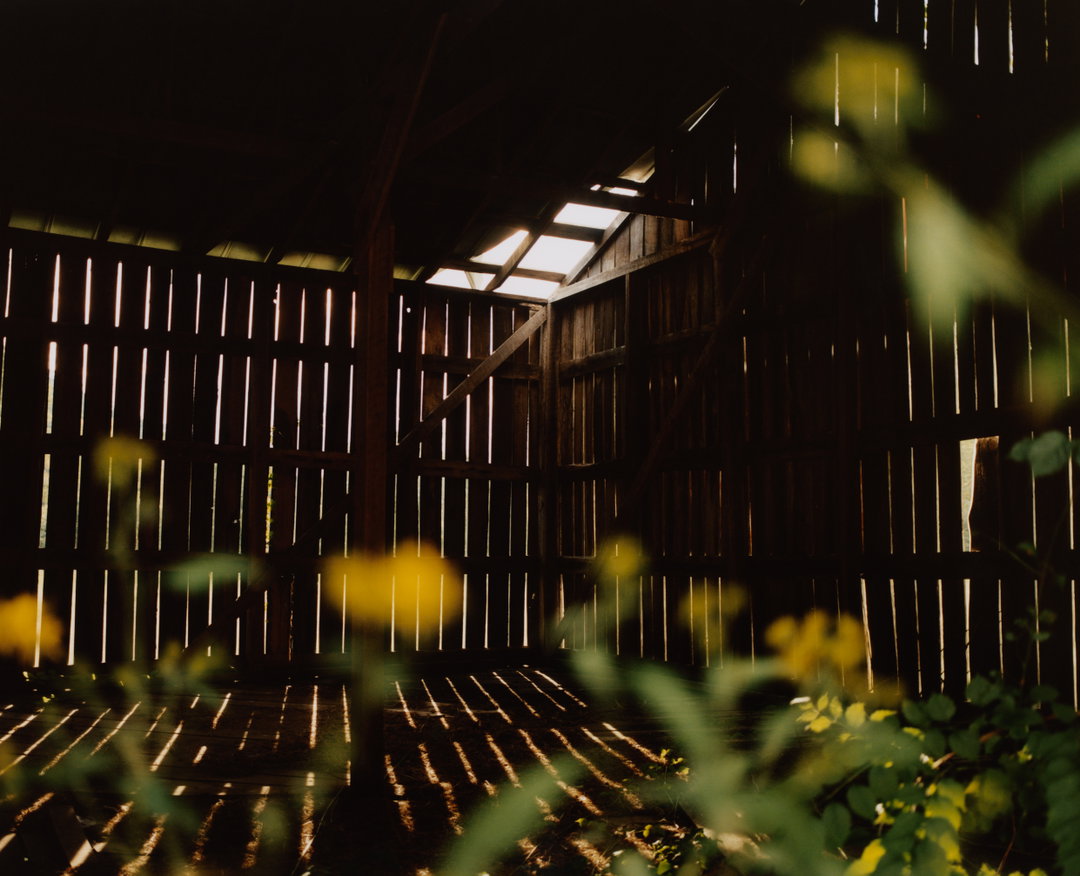 anthony-wilson-mawmaw-photography-itsnicethat-9