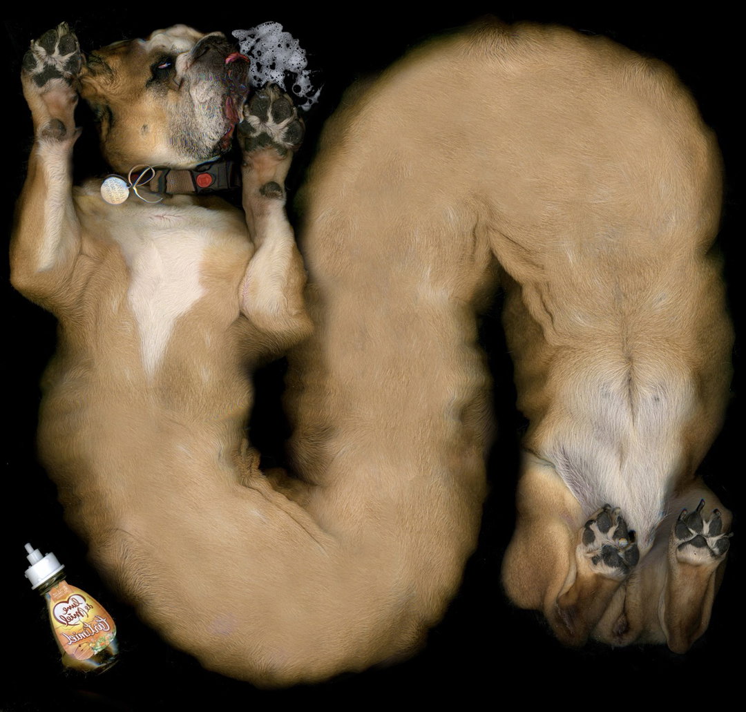 armand-croissinier-photography-itsnicethat-7 Large.jpeg