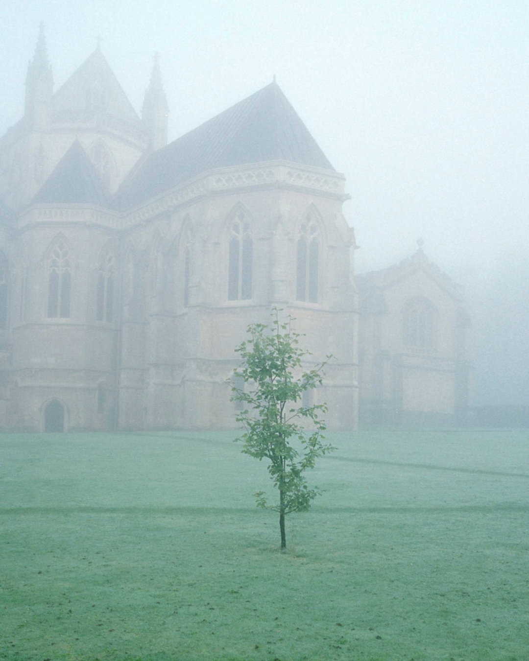 ashley-bourne-benedicts-house-photography-itsnicethat-2.jpg