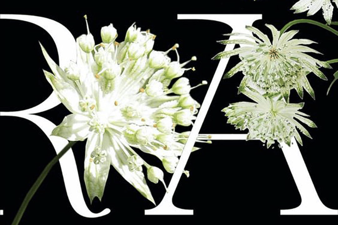 astrance-typeface-03-mathilde-quentin,-2020.jpg