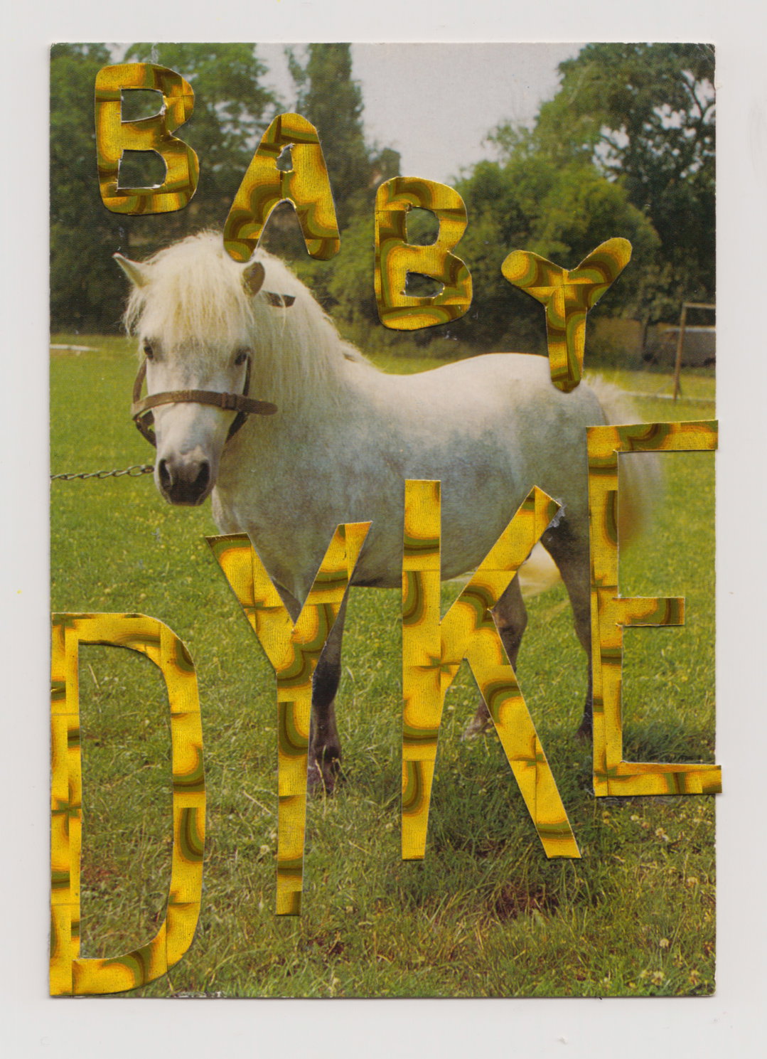 stef-mosebach-queer-horses-art-itsnicethat02