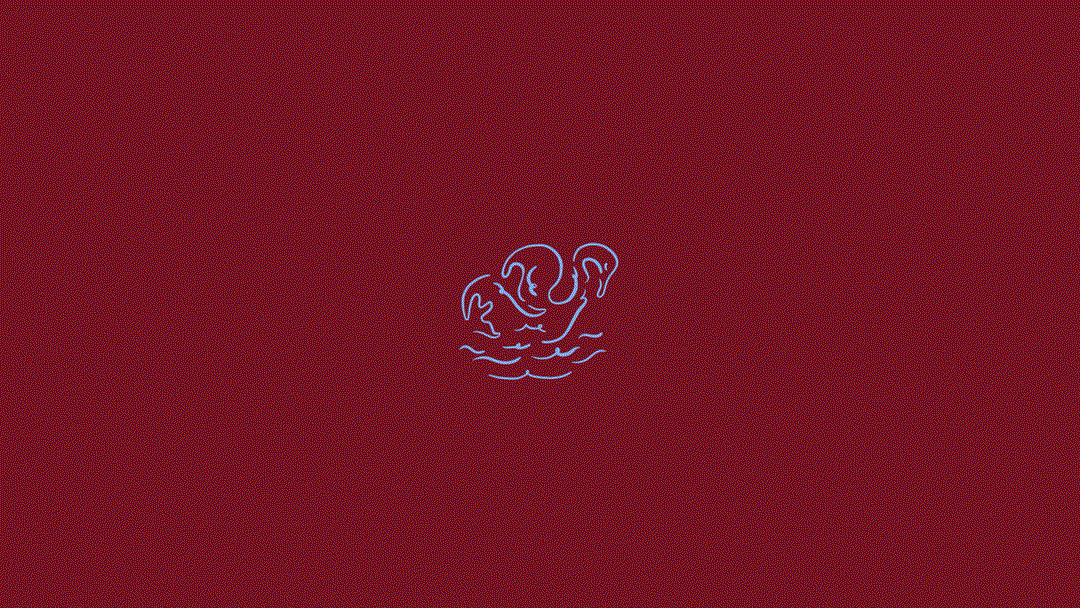bar-reve-dutchscot-graphic-design-project-itsnicethat-1.gif