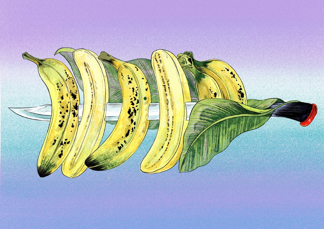 barbarian-flower-illustration-itsnicethat-14.JPG