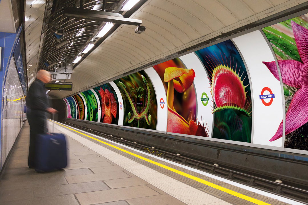 bbc-creative-green-planet-welcome-to-their-world-advertising-itsnicethat02.jpg