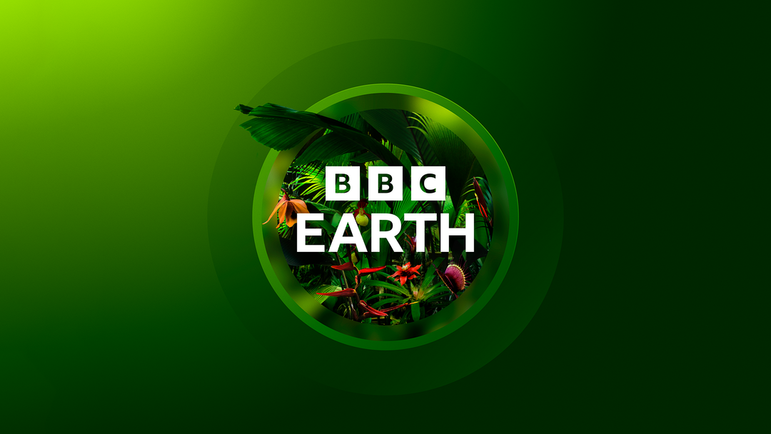 bbc-studios-creative-bbc-earth-graphic-design-itsnicethat-012.png