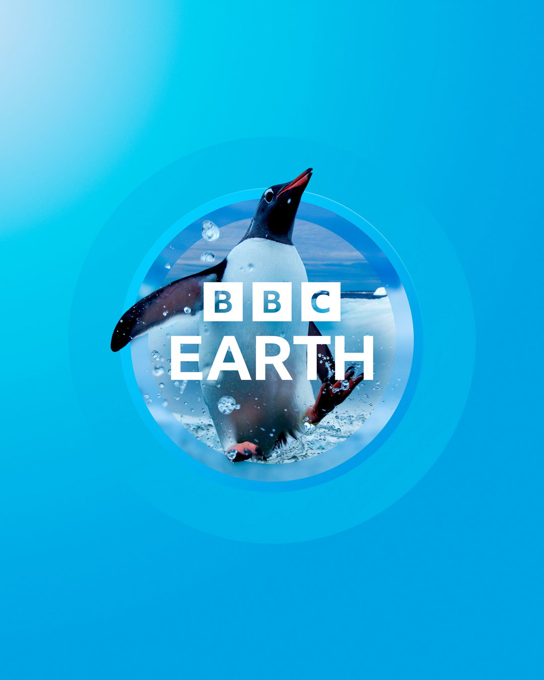 bbc-studios-creative-bbc-earth-graphic-design-itsnicethat-05.jpg