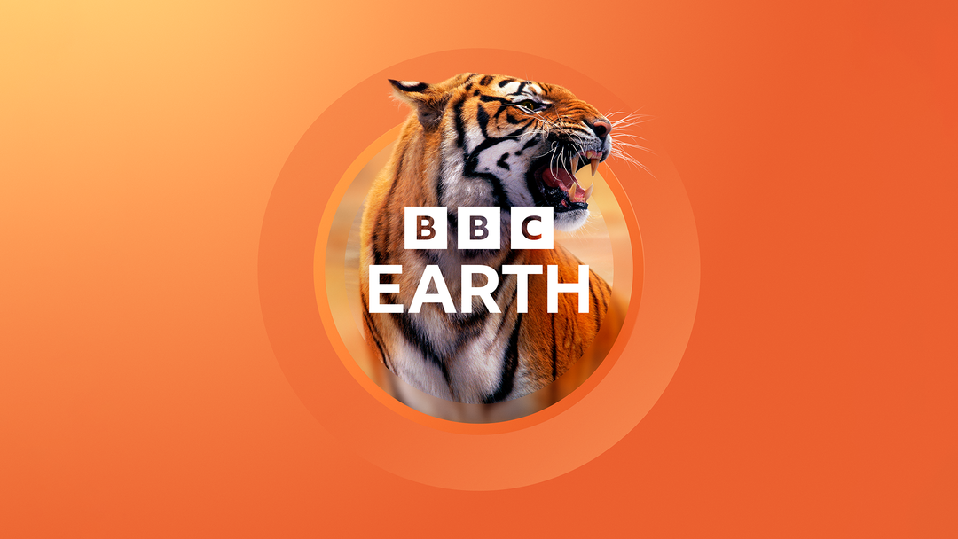 bbc-studios-creative-bbc-earth-graphic-design-itsnicethat-08.png