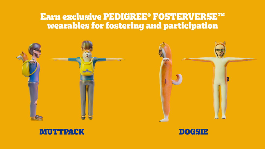 bbdo-pedigree-fosterverse-digital-6.jpg
