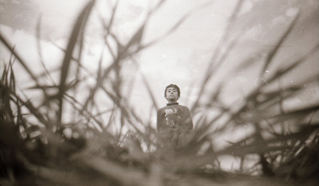bdullah (13) While taking pictures, I tried to capture human beings through the eyes of other living things..jpg