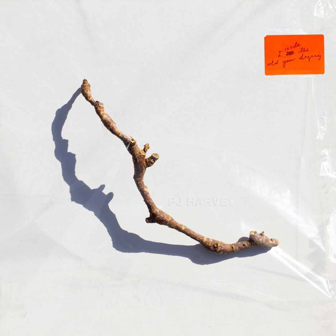AI and a single twig: Here are Art Vinyl’s best album covers of 2023